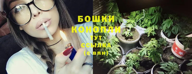 Шишки марихуана SATIVA & INDICA  Шали 